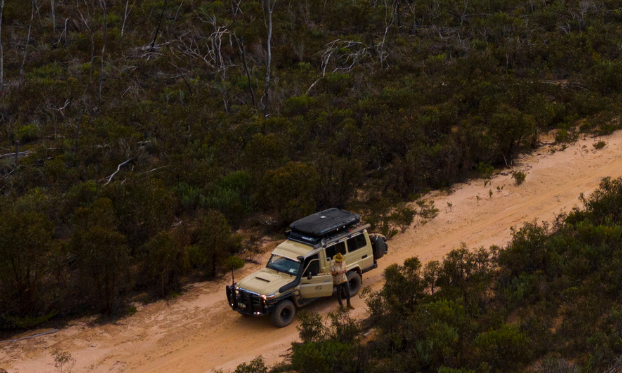 Beige Toyota truck in the distance driving along a dirt trail with trees either side