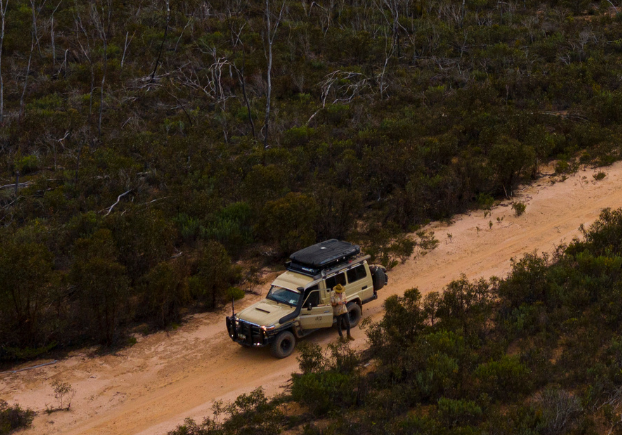Beige Toyota truck in the distance driving along a dirt trail with trees either side