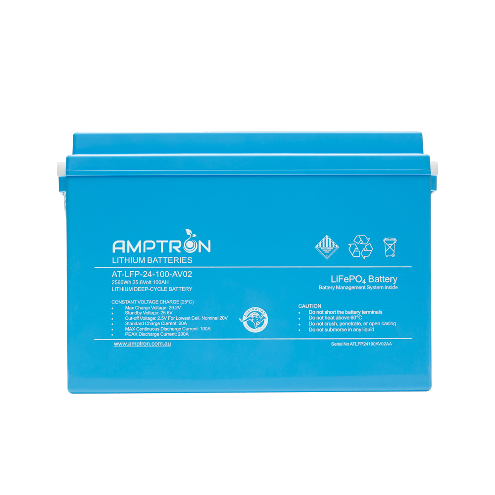 The 24V 100Ah battery square on, the label listing max charge voltage 29.2V, standby 25.6V, cut-off 2.5V per cell nominal 20V, standard charge 20A, max continuous discharge 100A and peak discharge 200A