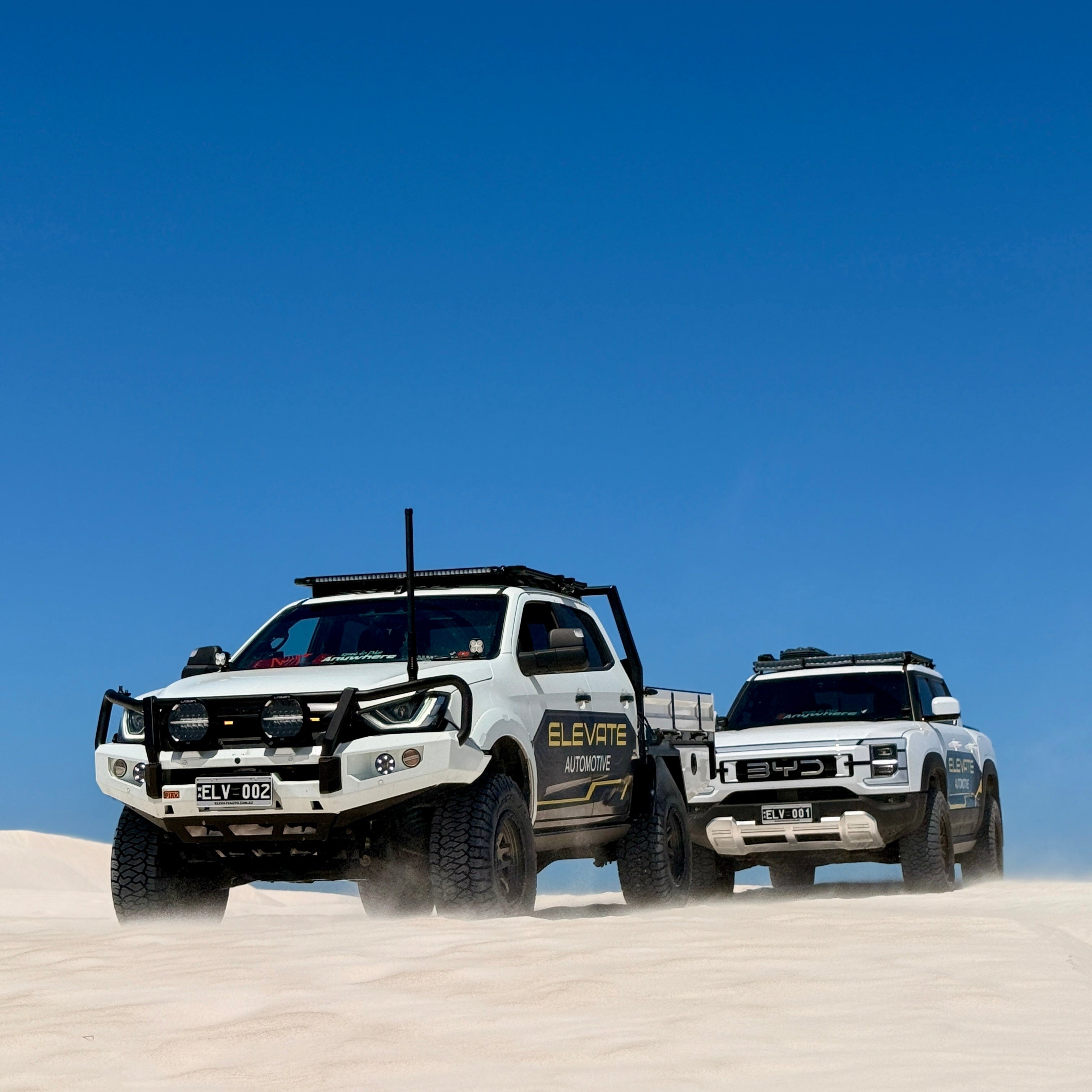 DMAX RG 2020+