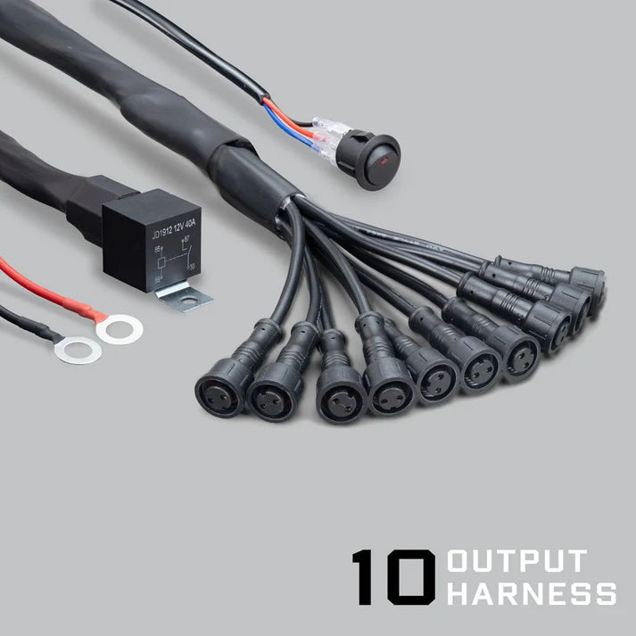 The complete 10 output harness laid out, the relay and ring battery terminals at the left, the rocker switch on its lead above, and ten sealed two-pin connectors fanned out to the right, captioned 10 OUTPUT HARNESS