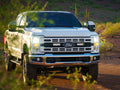 Ford F-250 & F-350 XL/XLT (2023+) Grille Kit