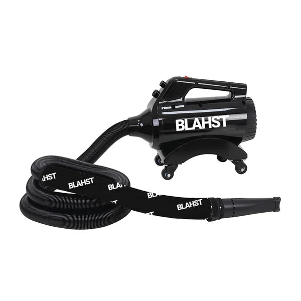 Blahst Air Maxx Dryer