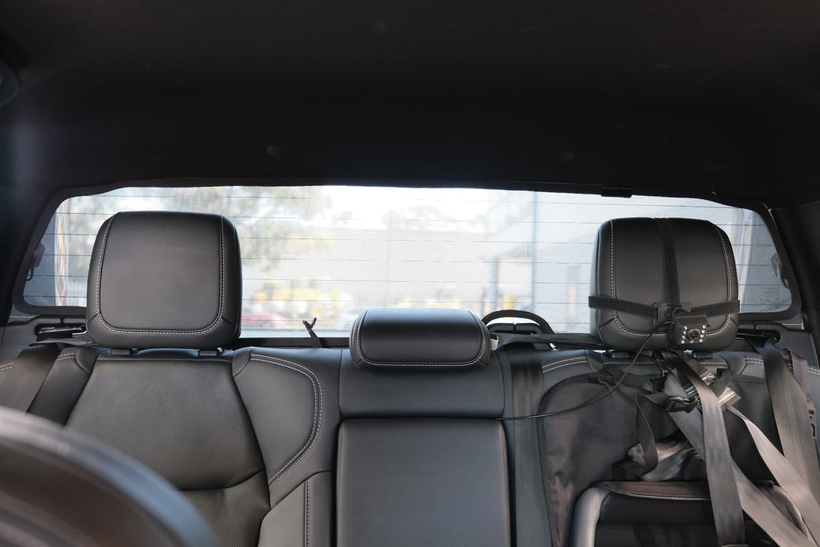 Backseat of a car with headrests and seat belts, showing a blurred outdoor background.