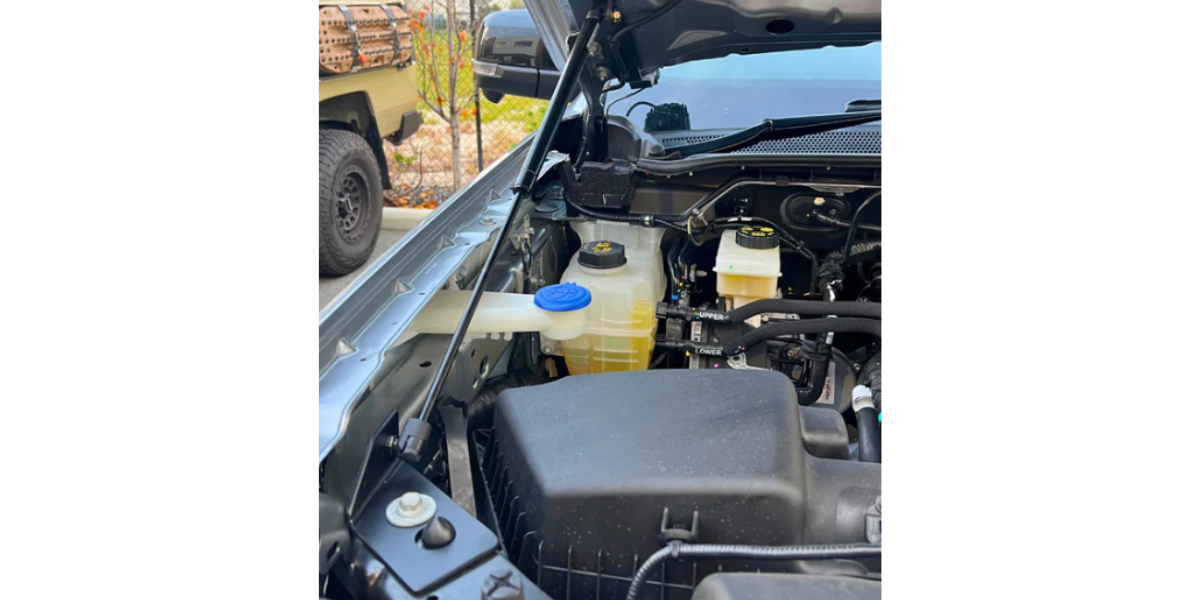 Elevate Automotive