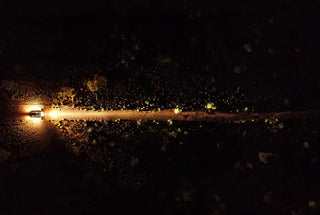 Aerial night shot showing the beam of a pair of Lightforce BEAST driving lights throwing down a dirt track