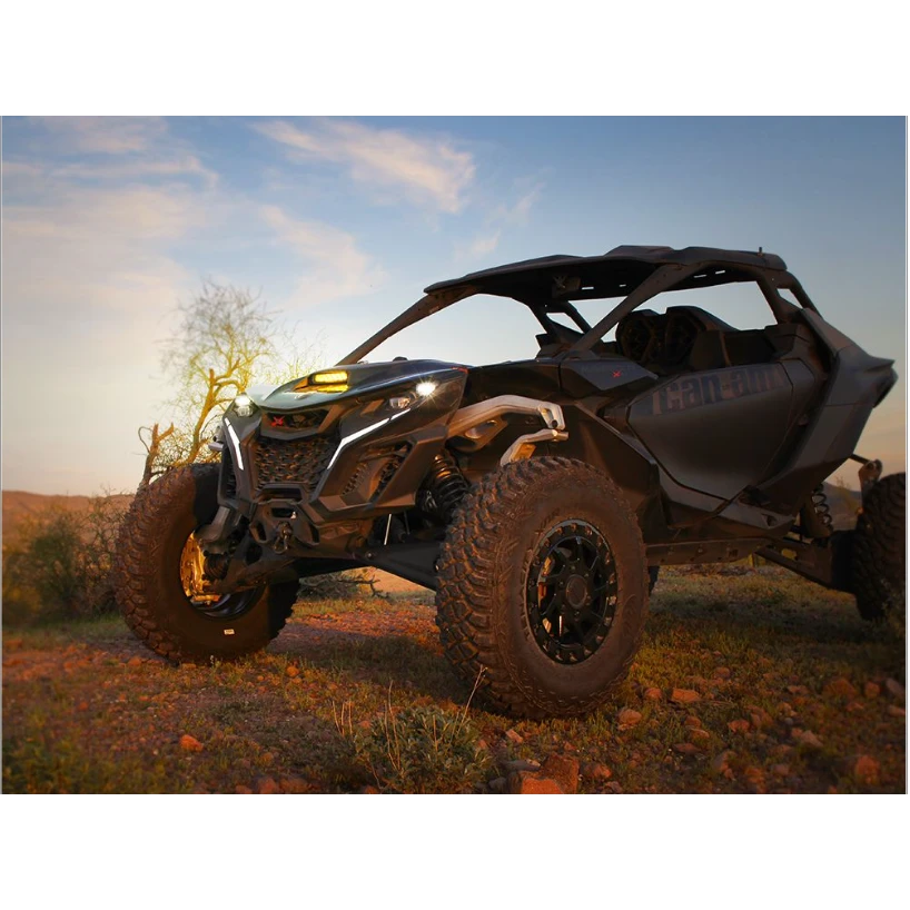 Can-Am Hood Mount – view 2