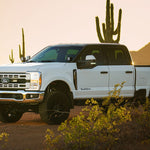 White Ford truck in a desert landscape with cacti