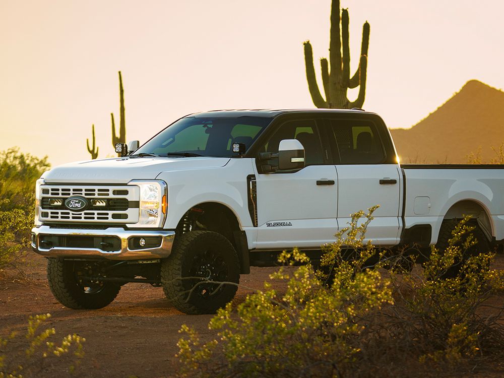 White Ford truck in a desert landscape with cacti