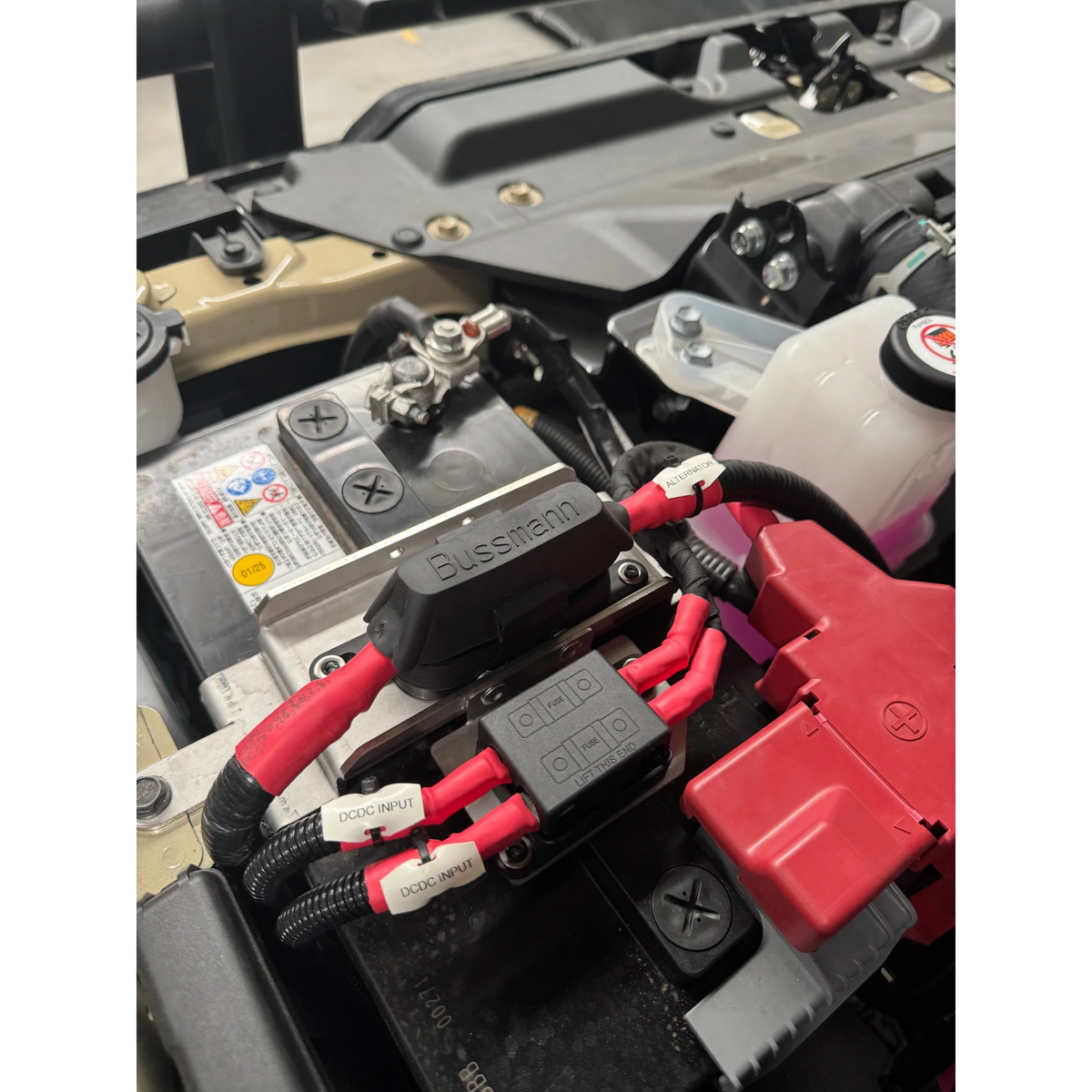 Elevate LC70 2.8L battery fuse bracket installed, with the Mega fuse holder and twin MIDI fuse holders wired and labelled